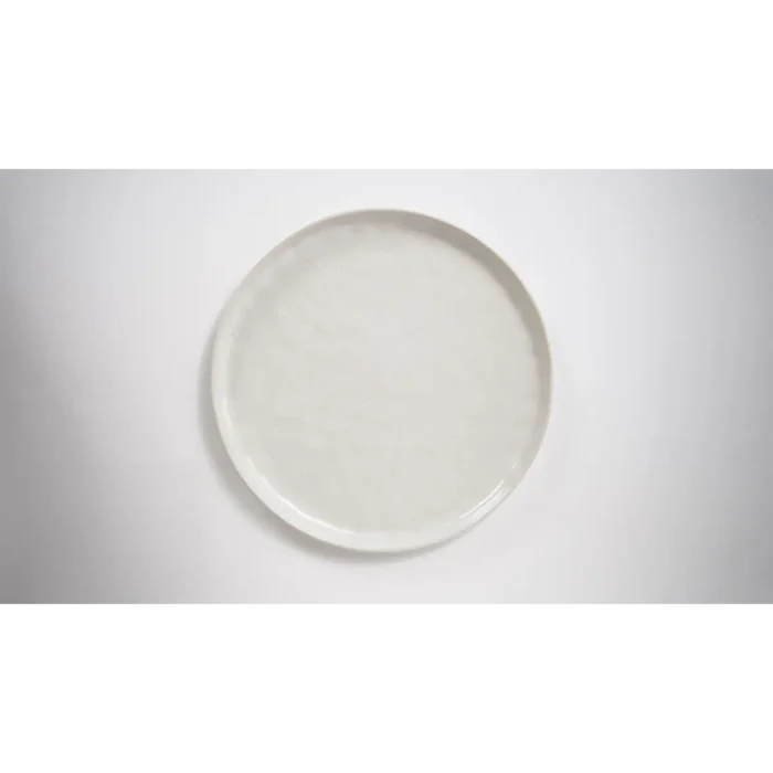Beige Sand  Japanese Style Dinner Plate