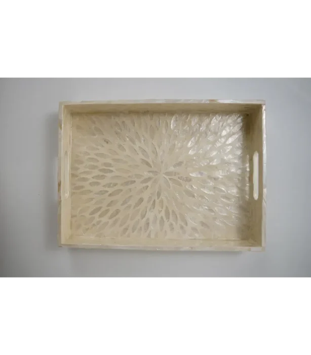 Large Beige Star Shell Tray Set