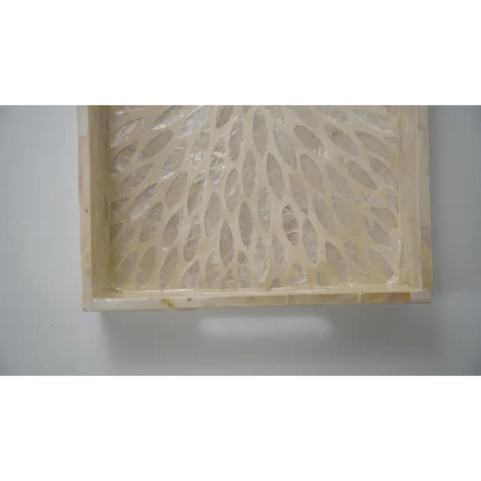 Small Beige Star Shell Tray Set